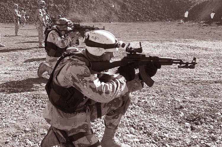 Soldiers with guns training at target practice