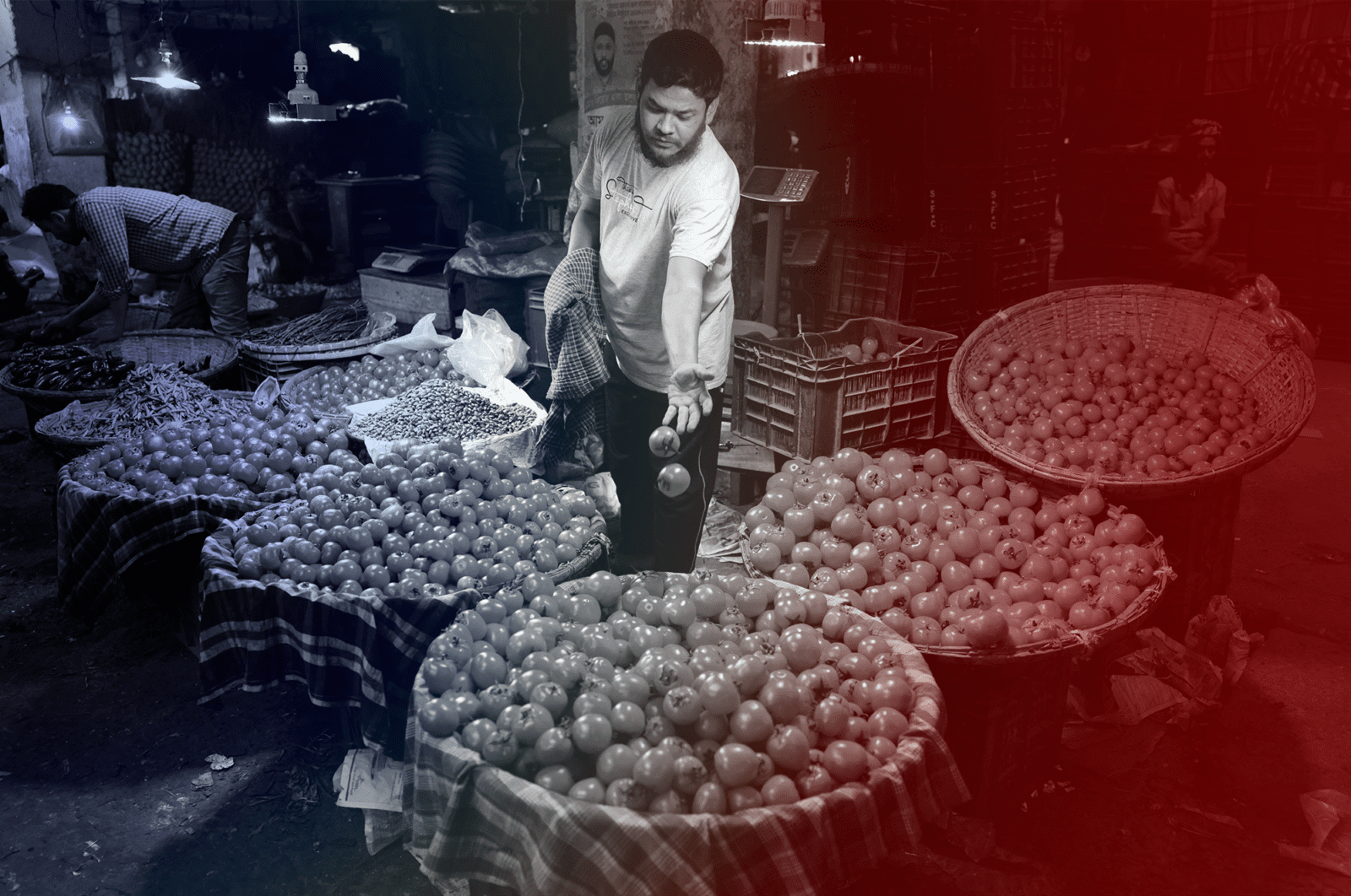 A man tosses a few tomatoes into a basket full of them in a street market.